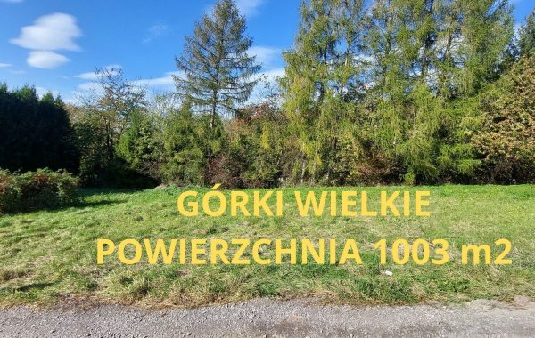 GORKI WIELKIE POWIERZCHNIA 1003 M2