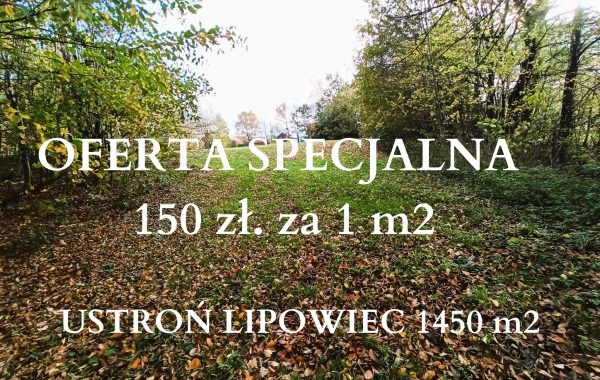 OFERTA SPECJALNA 150 zzł. za 1 m2